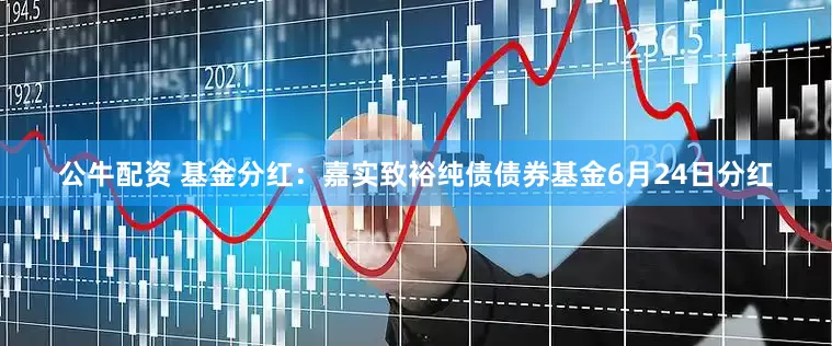 公牛配资 基金分红：嘉实致裕纯债债券基金6月24日分红