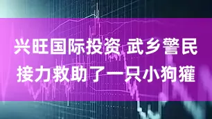 兴旺国际投资 武乡警民接力救助了一只小狗獾
