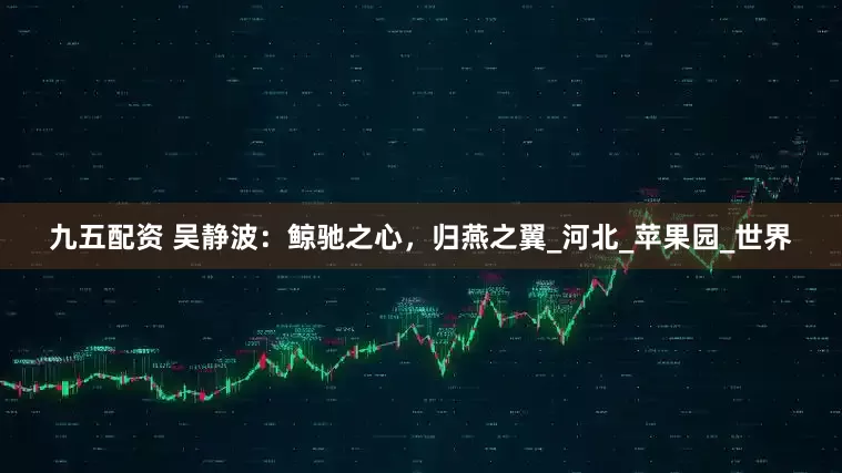 九五配资 吴静波：鲸驰之心，归燕之翼_河北_苹果园_世界
