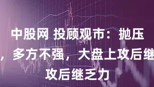 中股网 投顾观市：抛压加大，多方不强，大盘上攻后继乏力